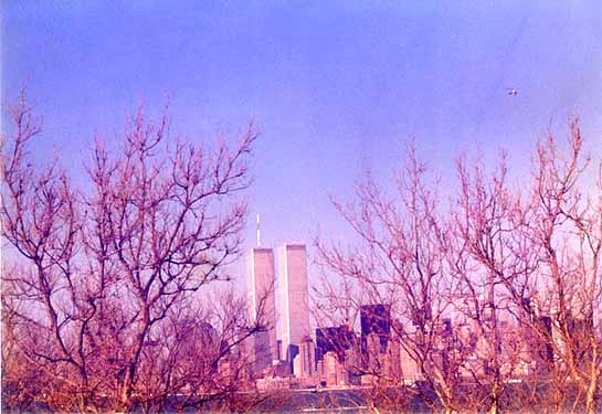 World Trade Centre, New York, in Winter (1996) by Roy Mathew